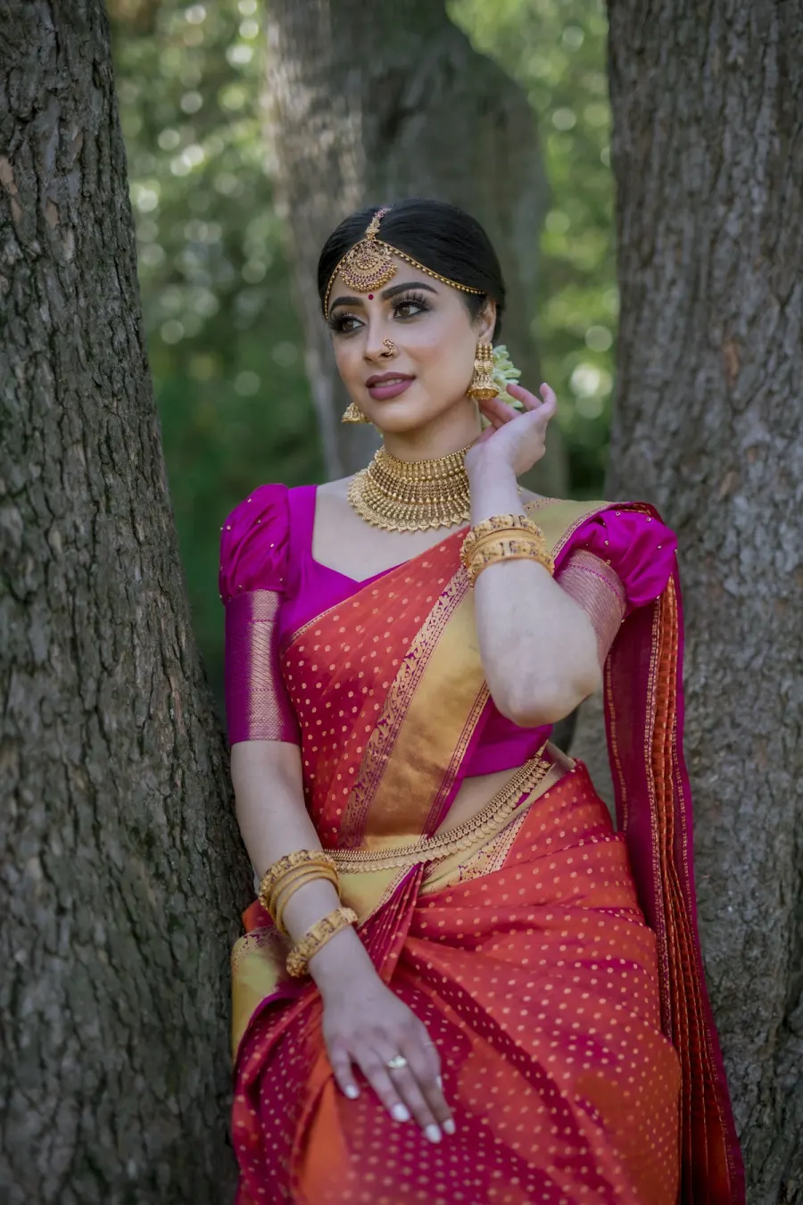 Torani Royal Zari Chanderi Silk Saree